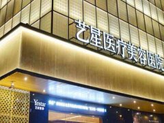 艺星丰太阳穴多少钱