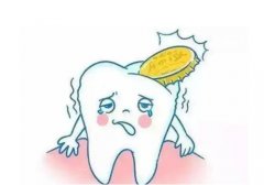 牙齿崩了一小块怎么办